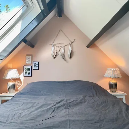 Butterfly Beach Cabana *